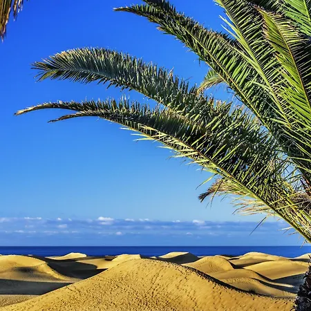 Garoe Bay By Canariasgetaway Las Palmas / Gran Canaria